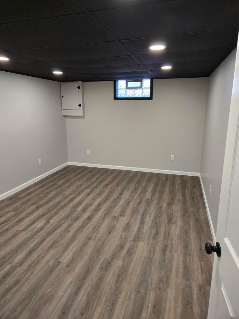 Basement Remodel